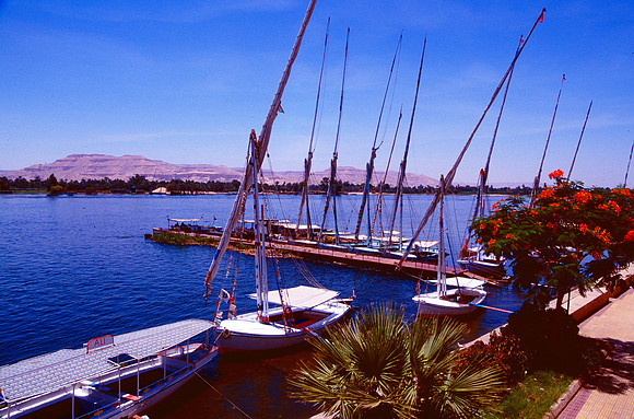 Falukas docked along the Nile river.
