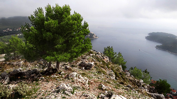 Dubrovnik 2013