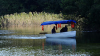 Albania 2013