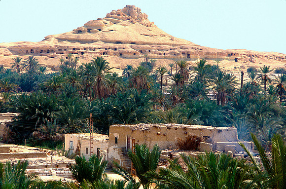 The Oasis at Siwa, Egypt