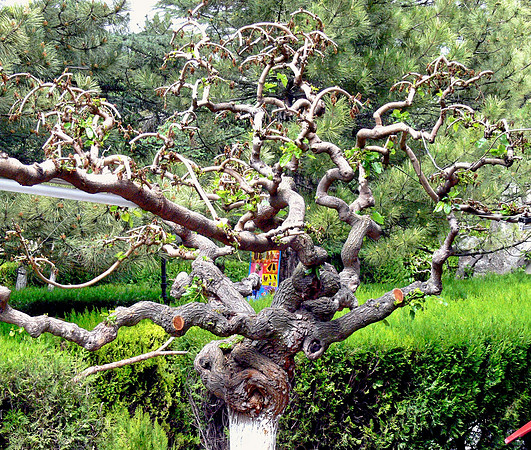 Urgup, Turkey