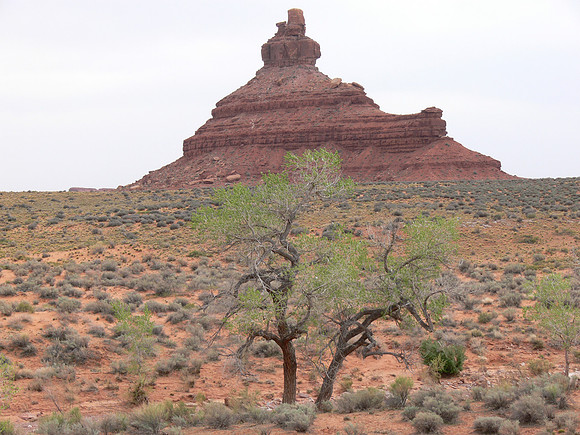 UtahTW2007 925.jpg