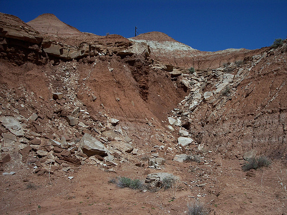 UtahRW2007 256.jpg