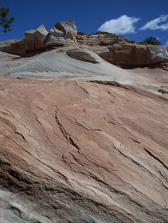 UtahRW2007 210.jpg