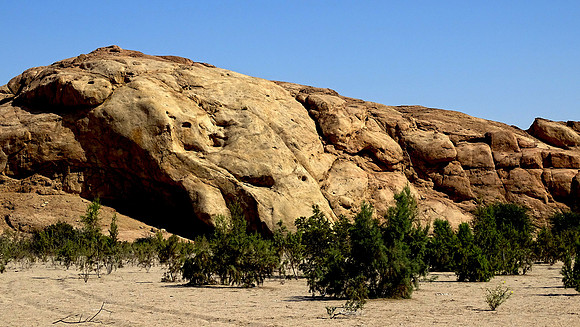 Namib desert