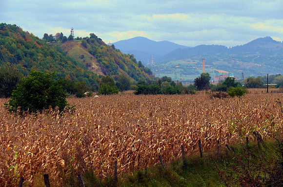 Suceava, Romania