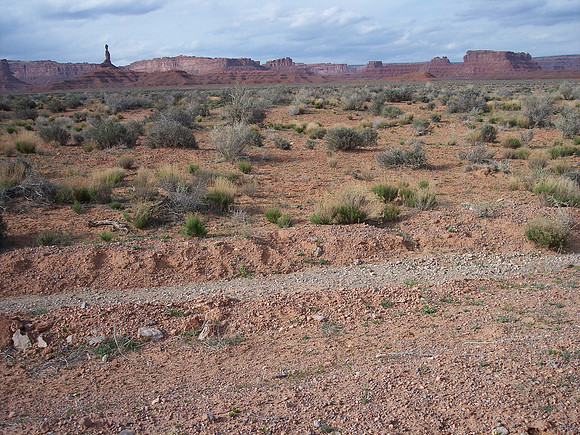 UtahRW2007 148.jpg