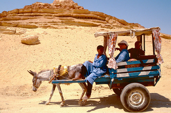 The Oasis at Siwa, Egypt