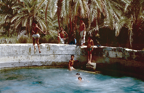 The Oasis at Siwa, Egypt