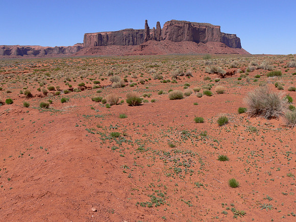 UtahTW2007 013.jpg