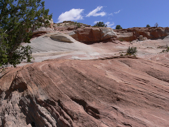 UtahTW2007 168.jpg