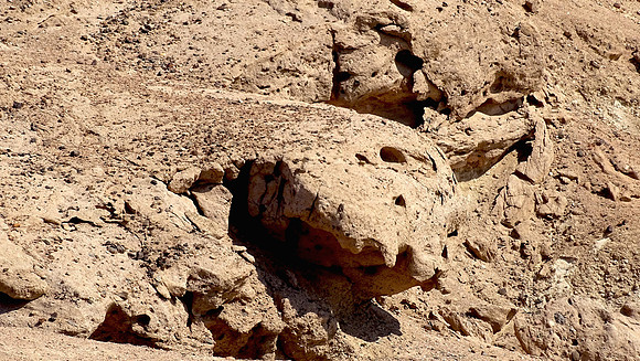 Namib desert