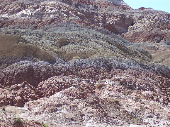 UtahRW2007 264.jpg