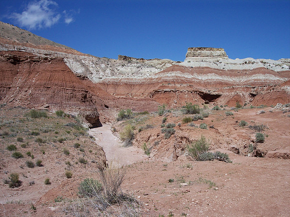 UtahRW2007 254.jpg