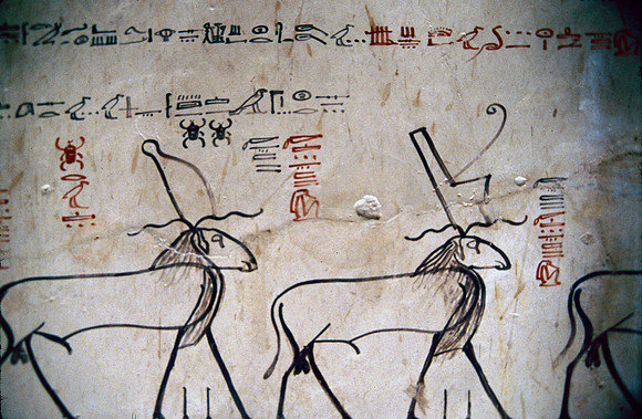 Wall Paintings in underground Tomb at the Valley of the Kings