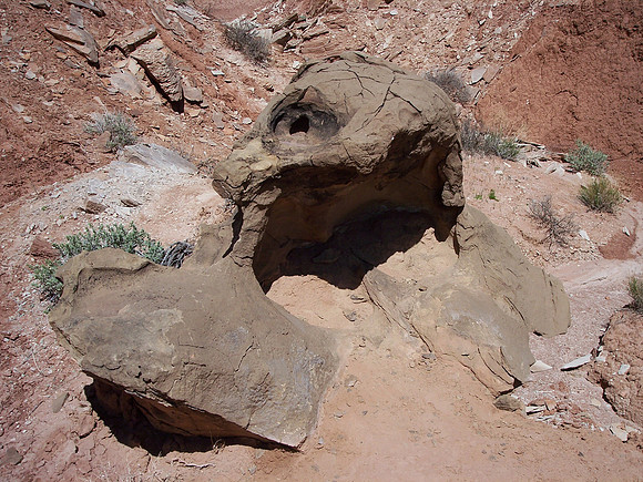 UtahRW2007 259.jpg