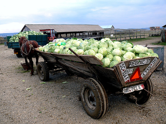 Suceava, Romania