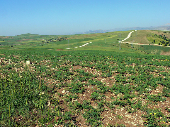 Mount Nemrut (Nemrut Dagi)