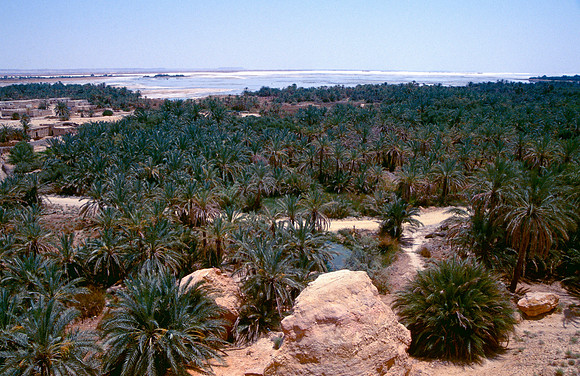 The Oasis at Siwa, Egypt