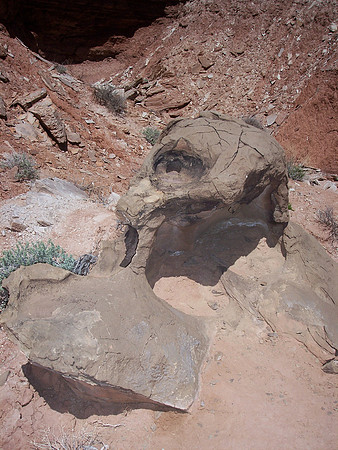 UtahRW2007 258.jpg