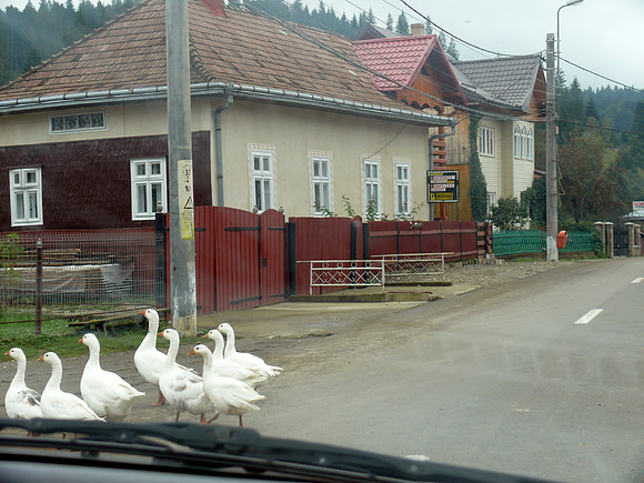 Suceava, Romania