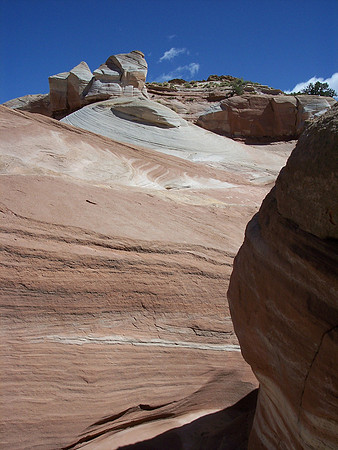 UtahRW2007 212.jpg