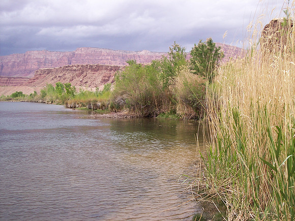 UtahRW2007 282.jpg