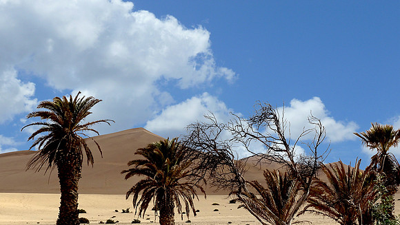 Giant sand dunes of Namibia