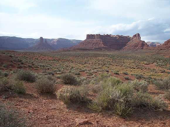 UtahRW2007 143.jpg