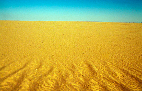 Blazing hot desert