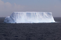 Elephant Island, Antarctica