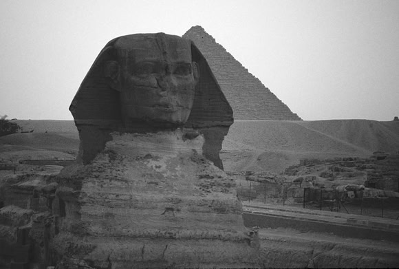 The Sphinx in front of the Phyramids.