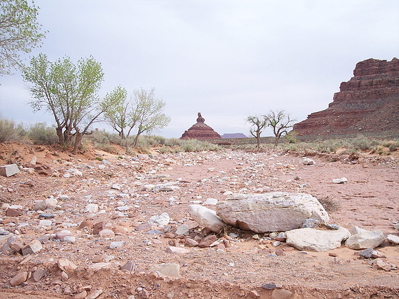 UtahRW2007 118.jpg