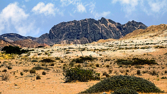 Namib desert