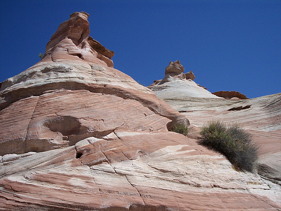 UtahRW2007 239.jpg