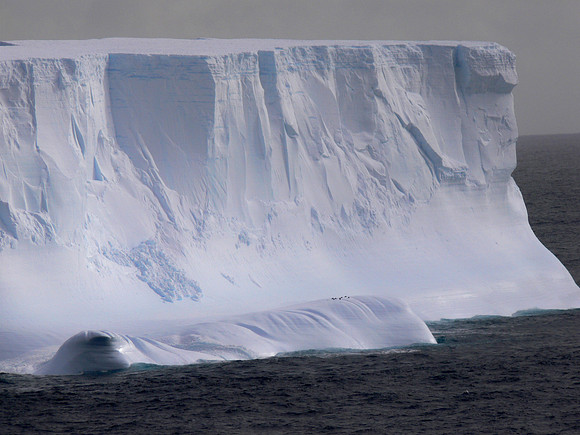 Elephant Island, Antarctica