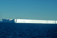 Elephant Island, Antarctica