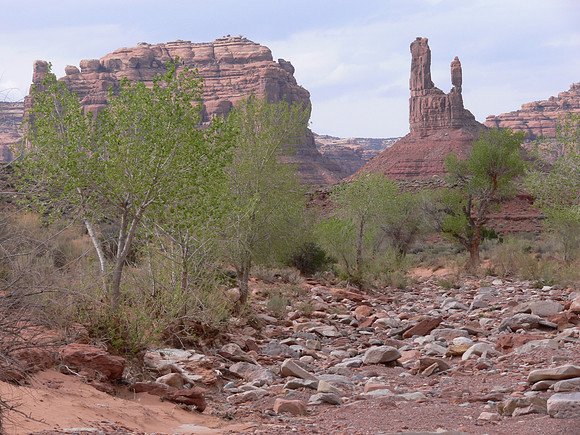 UtahTW2007 932.jpg
