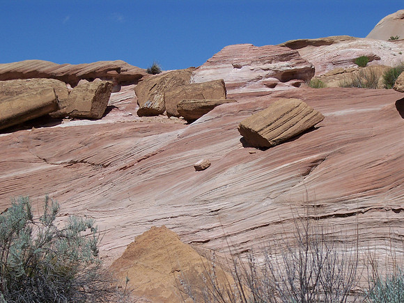UtahRW2007 240.jpg