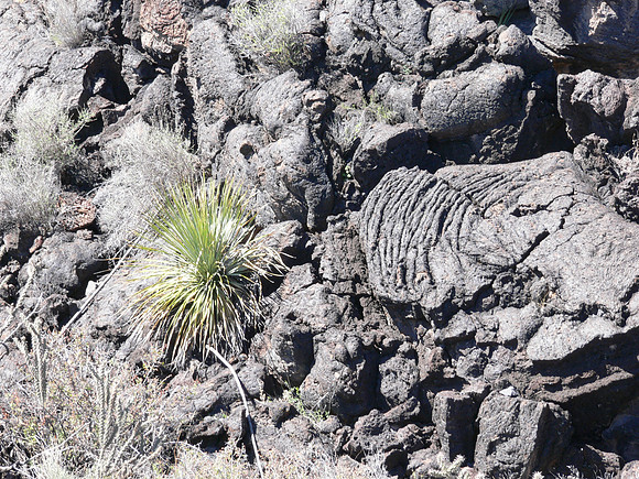 Valley of Fires Recreation Area - New Mexico