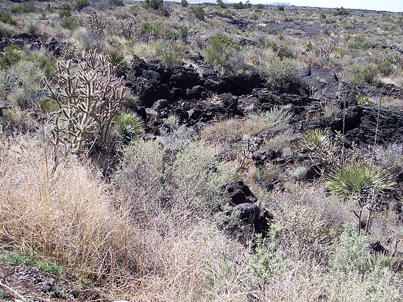 UtahRW2007 302.jpg