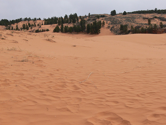 UtahTW2007 296.jpg