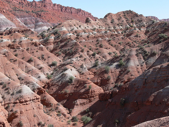 UtahTW2007 245.jpg