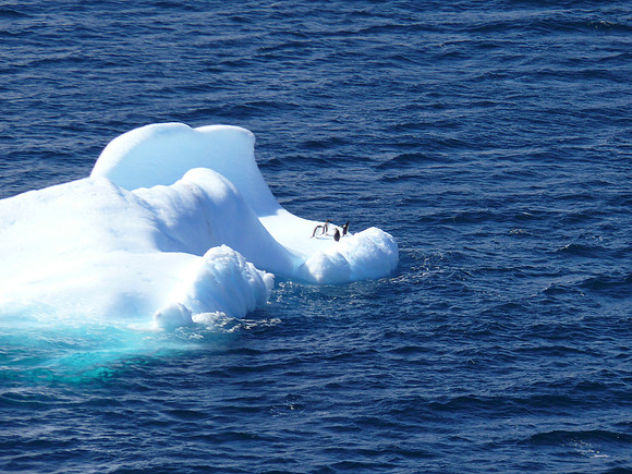 Neumayer Channel - Antarctica