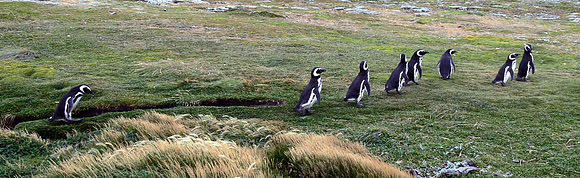 Punta Arenas, Chile