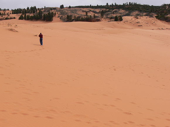 UtahTW2007 305.jpg