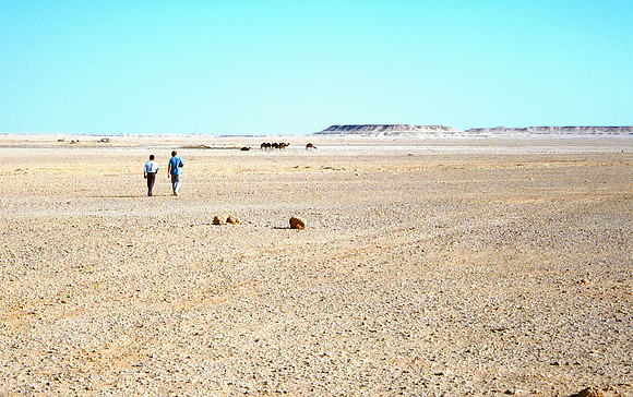 The Oasis at Siwa, Egypt