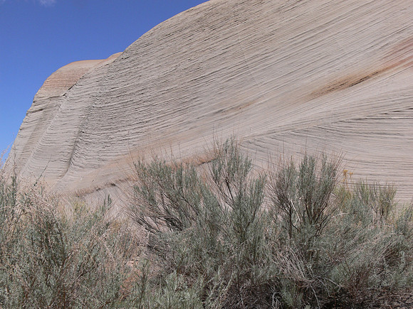 UtahTW2007 194.jpg