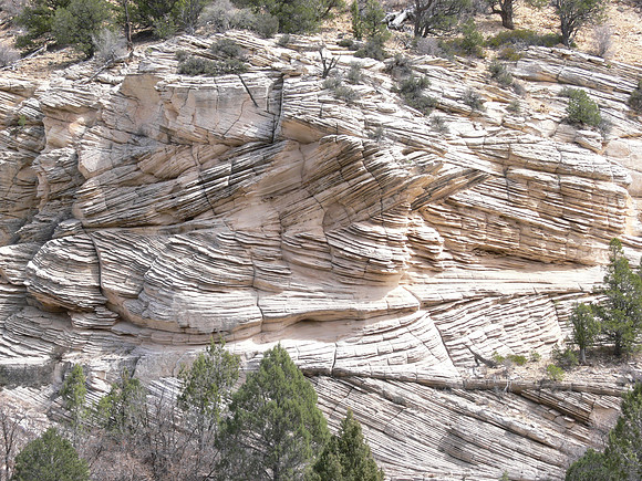 UtahTW2007 315.jpg