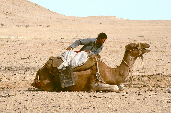 The Oasis at Siwa, Egypt